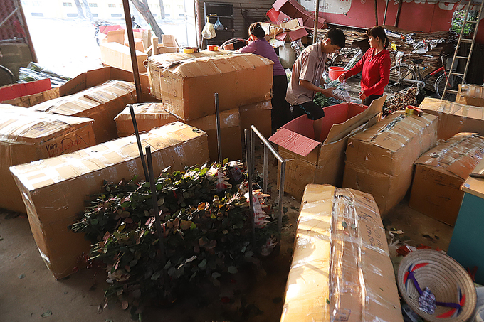 Người dân Tây Tựu thu hoạch hoa phục vụ 8/3